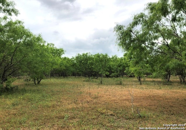 Tract A S Loop 1604 E San Antonio TX 78264