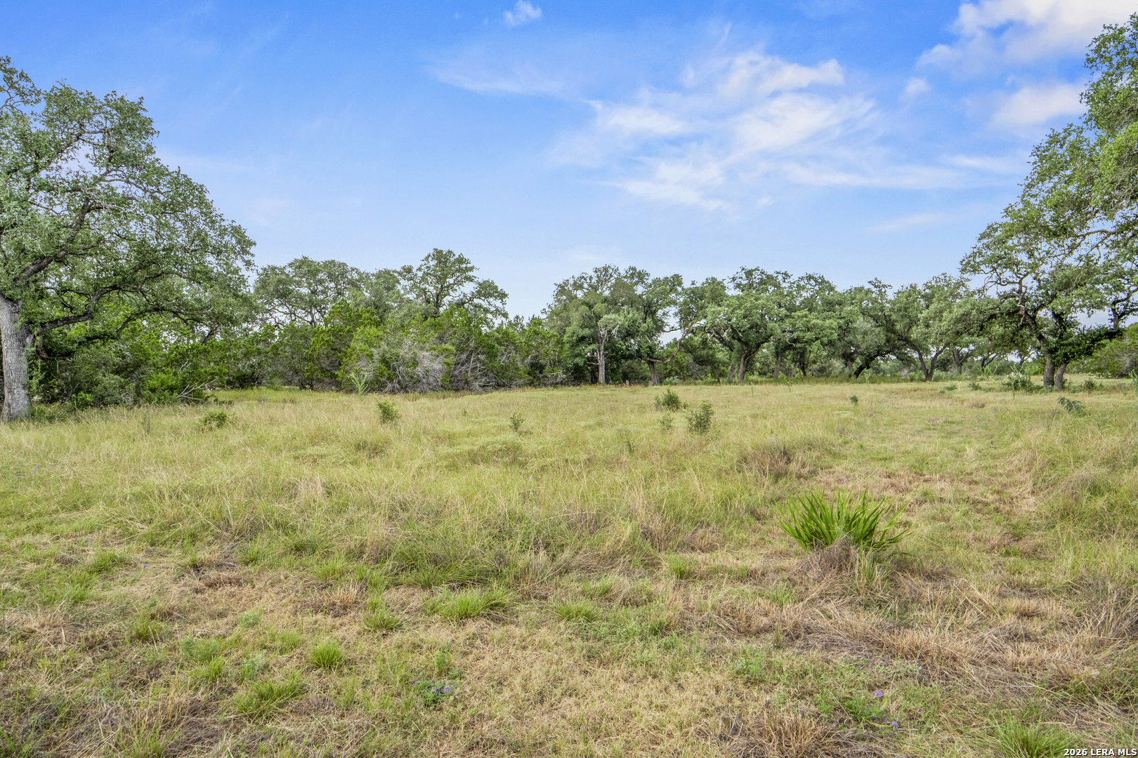 358 Serenity Pass Spring Branch TX 78070