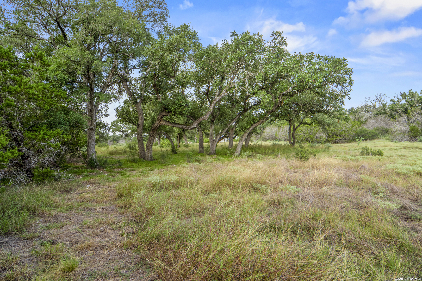 358 Serenity Pass Spring Branch TX 78070