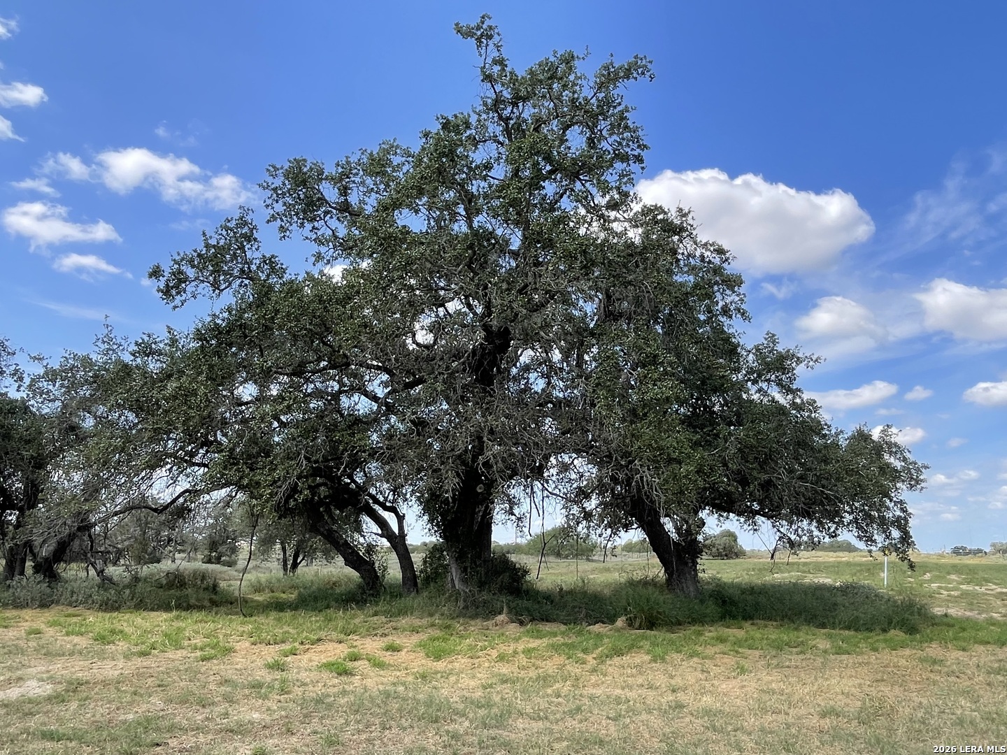 275 County Road 331 Floresville TX 78114