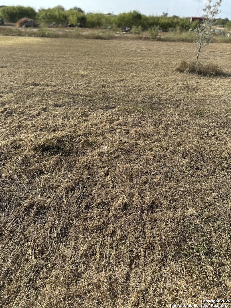 1050 N Highway 132 Natalia TX 78059