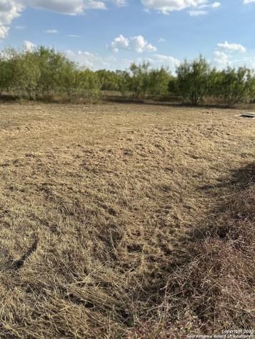 1050 N Highway 132 Natalia TX 78059