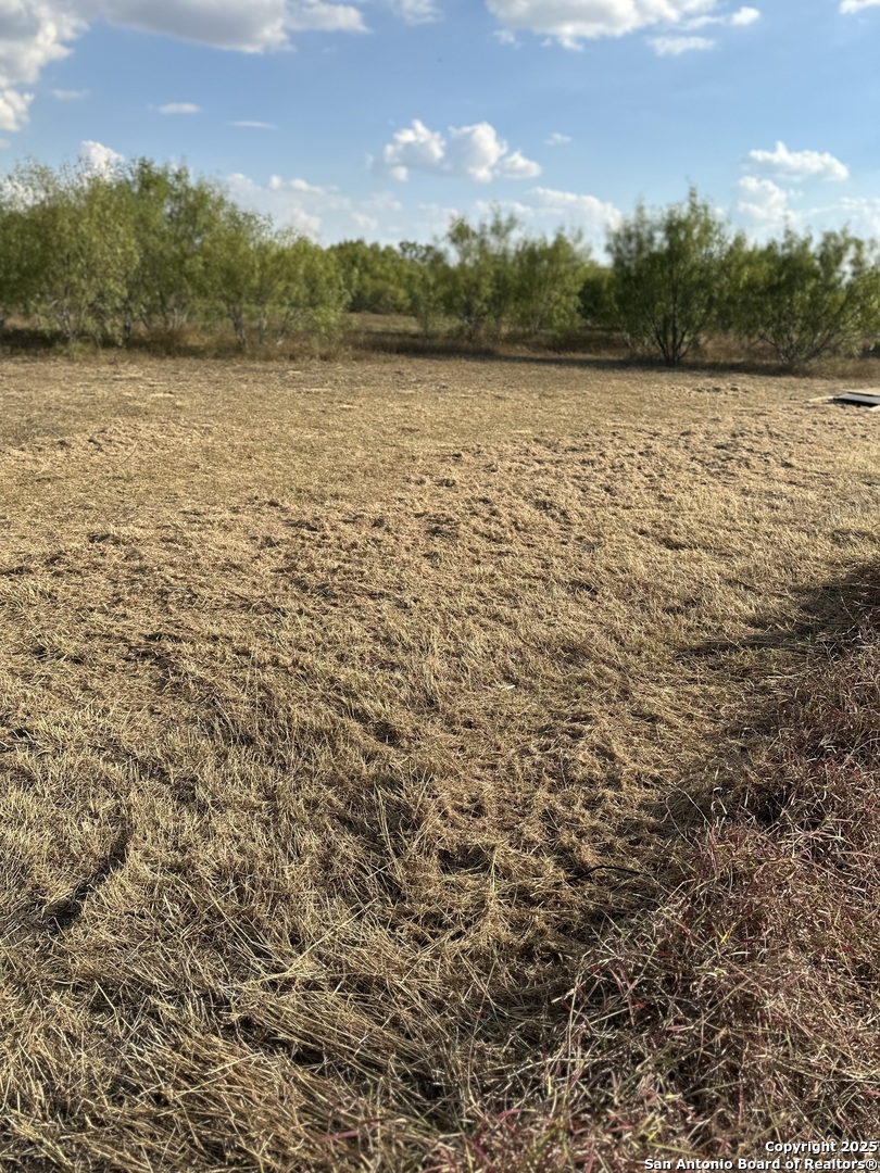 1050 N Highway 132 Natalia TX 78059