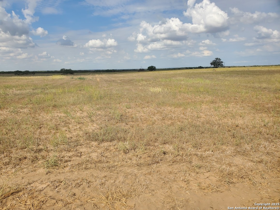 8171 County Road 2400 Moore TX 78057