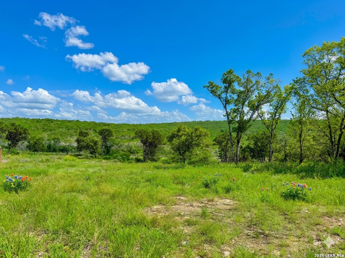 416 Hilltop Ridge New Braunfels TX 78132
