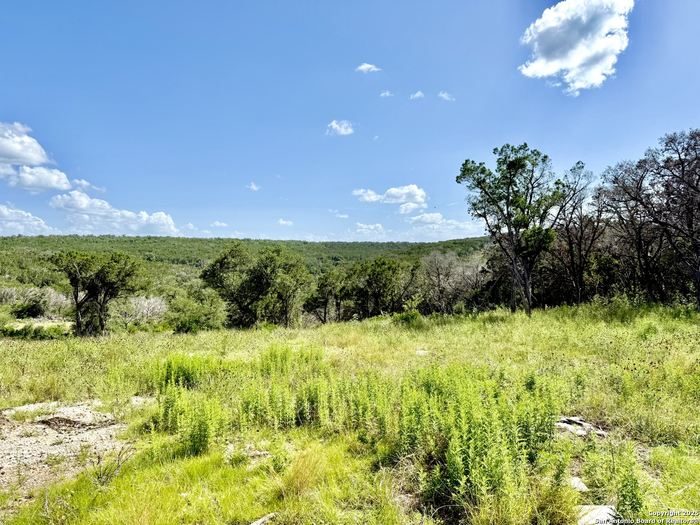 416 Hilltop Ridge New Braunfels TX 78132