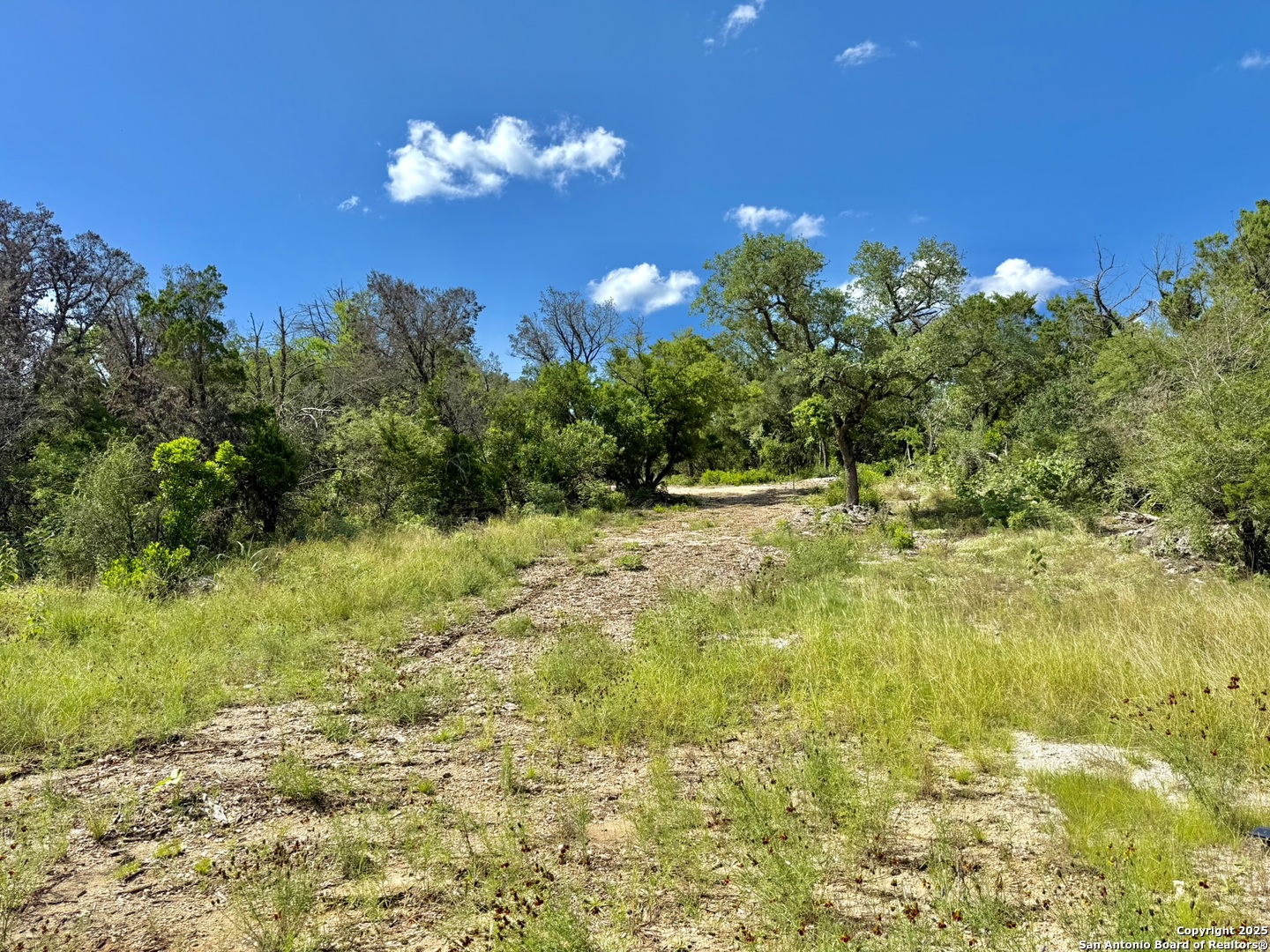 416 Hilltop Ridge New Braunfels TX 78132