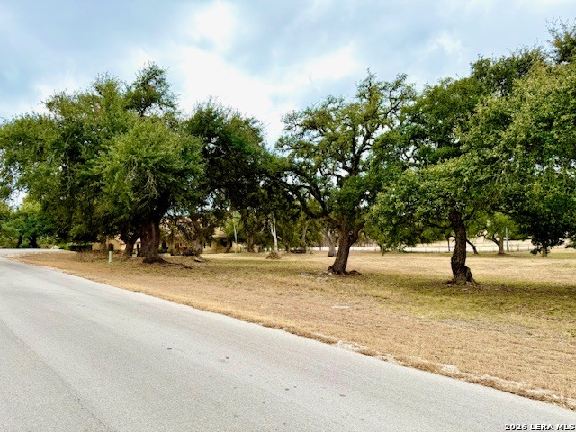 1516 Mount Bear Canyon Lake TX 78133
