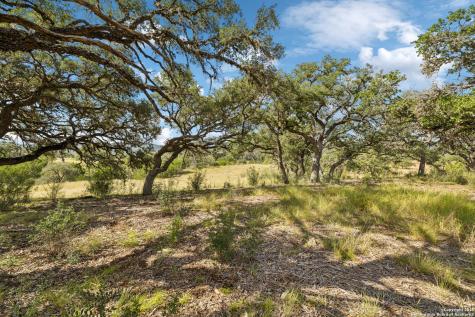 228 Rocky Creek Road Medina TX 78055