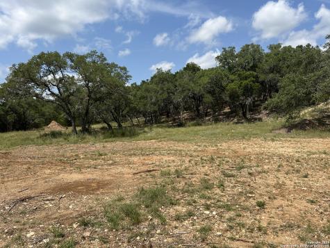 245 Sydney Springs Helotes TX 78023