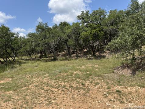 245 Sydney Springs Helotes TX 78023