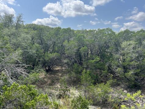 245 Sydney Springs Helotes TX 78023