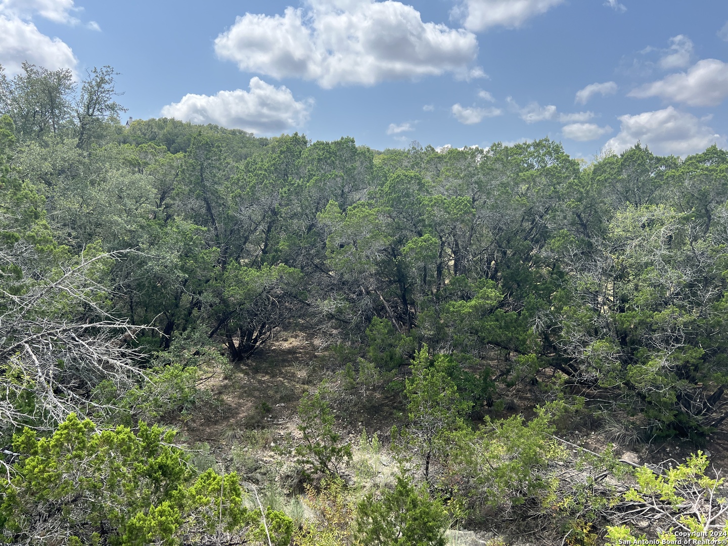 245 Sydney Springs Helotes TX 78023
