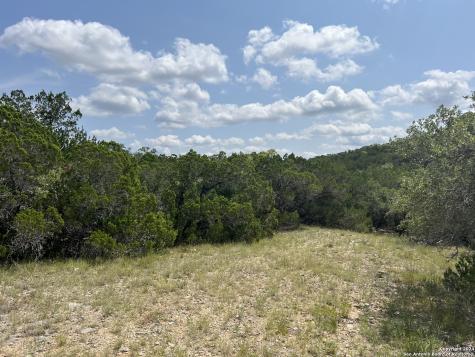 245 Sydney Springs Helotes TX 78023