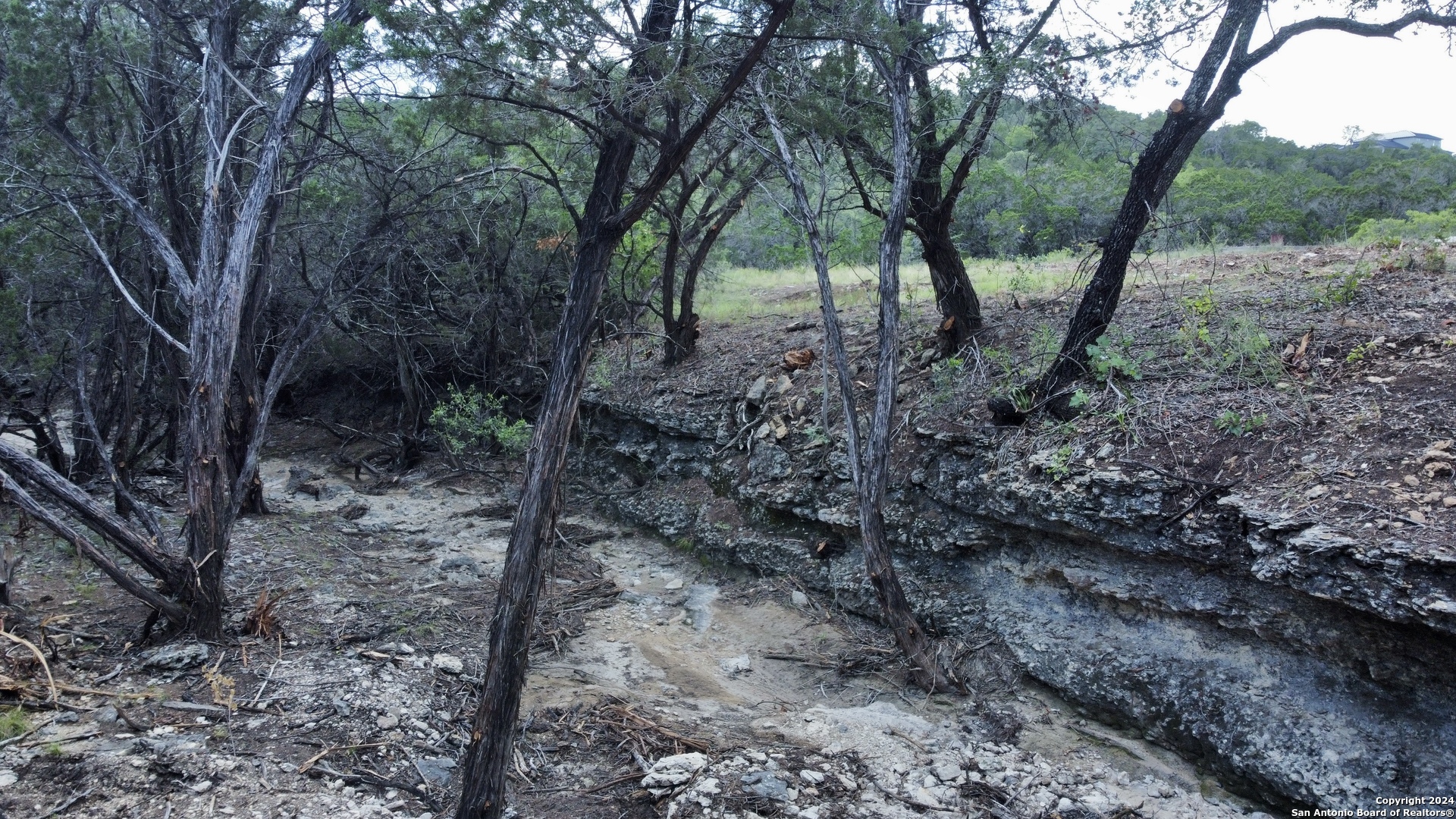245 Sydney Springs Helotes TX 78023