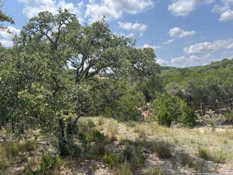 245 Sydney Springs Helotes TX 78023