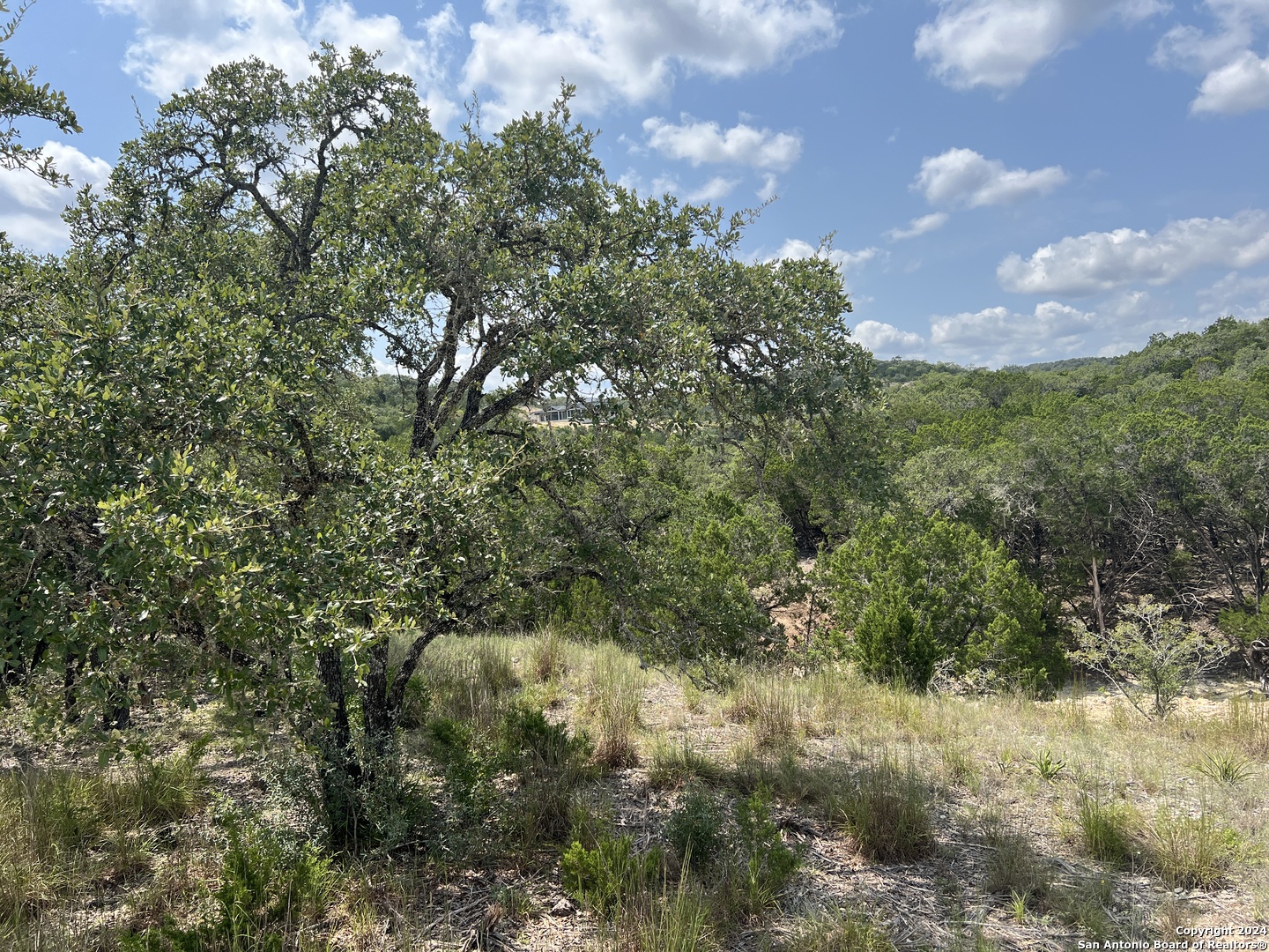 245 Sydney Springs Helotes TX 78023