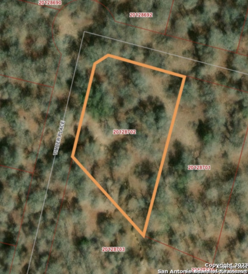 216 Timber Place La Vernia TX 78121