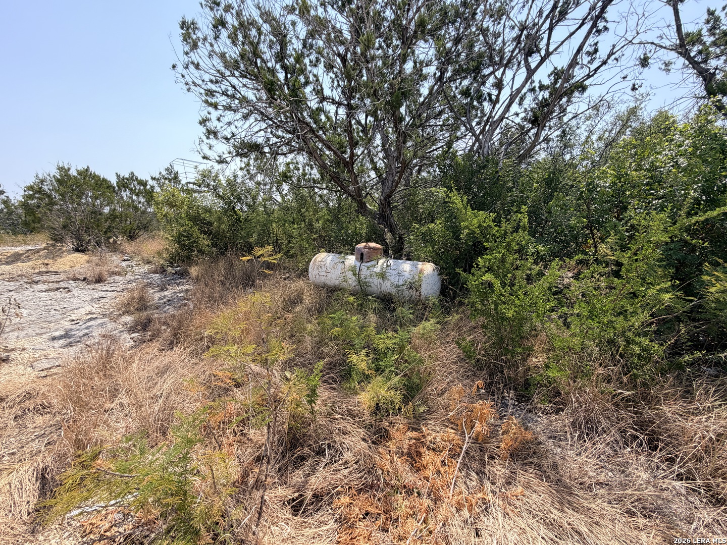 4807 County Road 429 Uvalde TX 78801