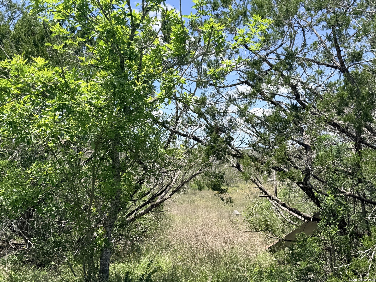 4807 County Road 429 Uvalde TX 78801