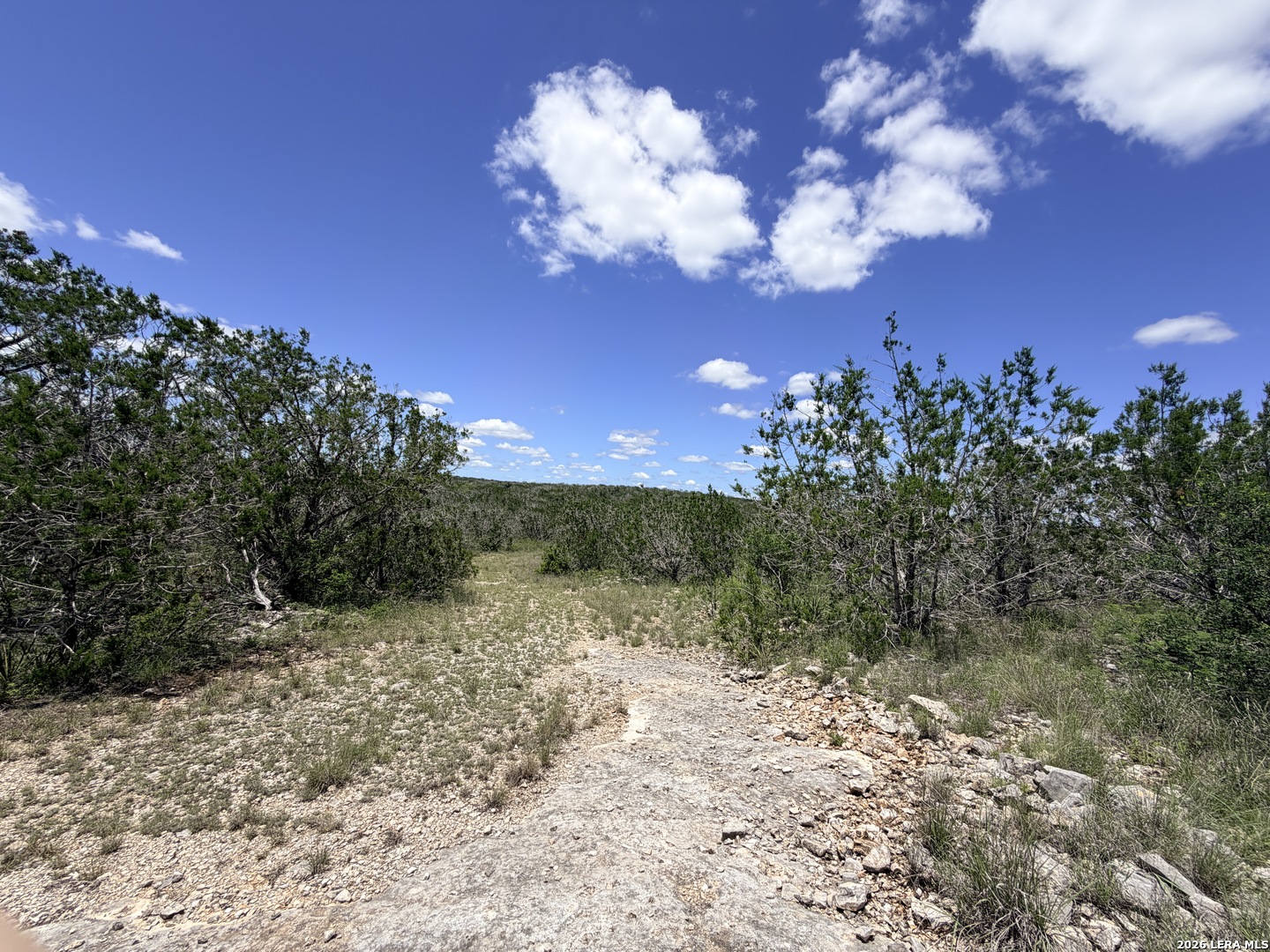 4807 County Road 429 Uvalde TX 78801