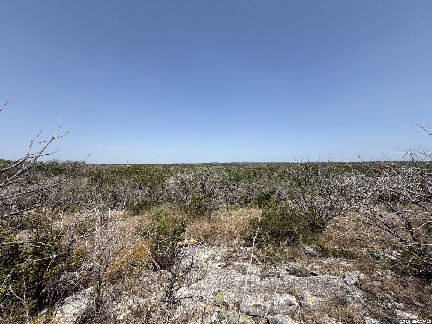 4807 County Road 429 Uvalde TX 78801