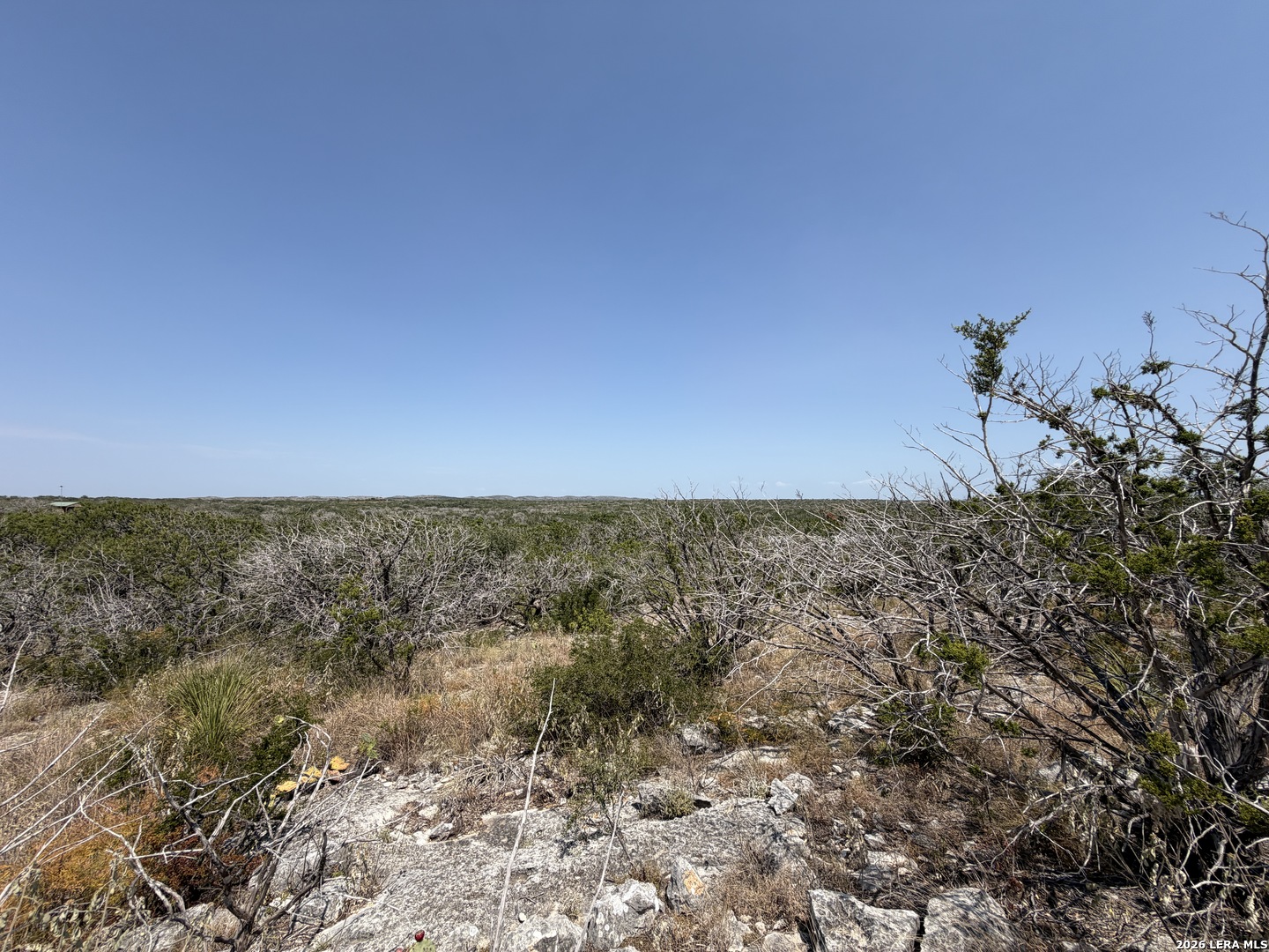 4807 County Road 429 Uvalde TX 78801