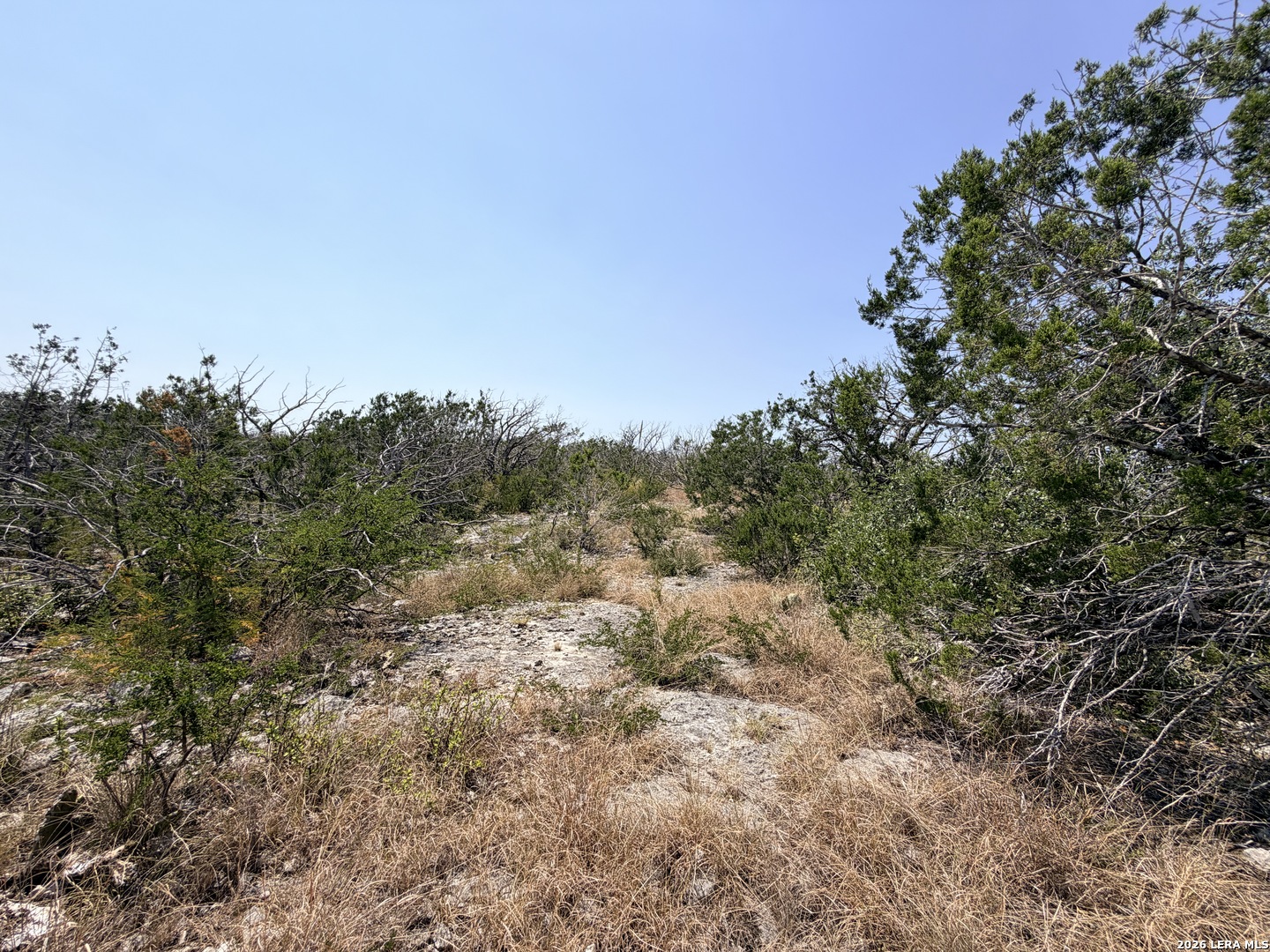 4807 County Road 429 Uvalde TX 78801