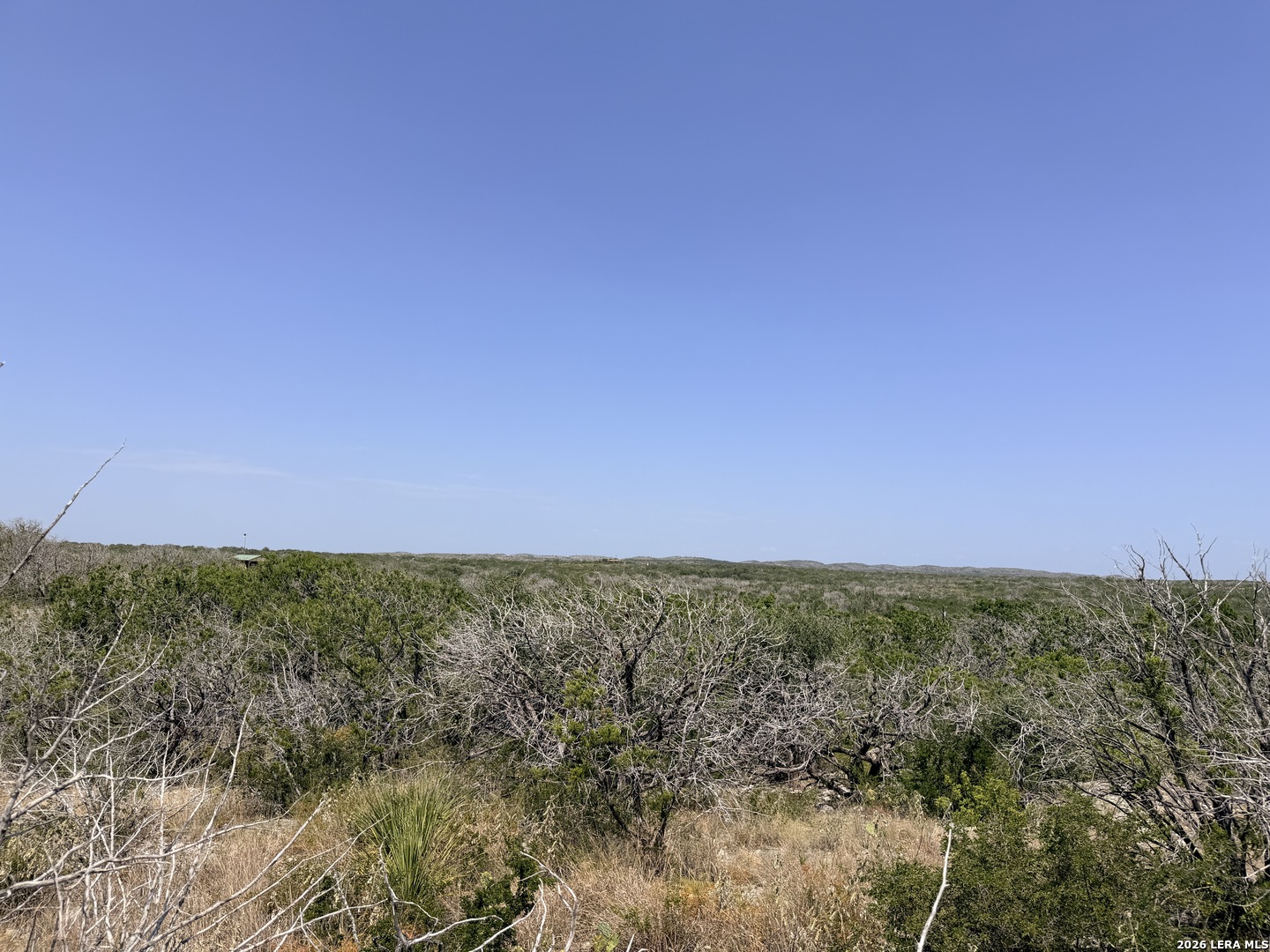 4807 County Road 429 Uvalde TX 78801