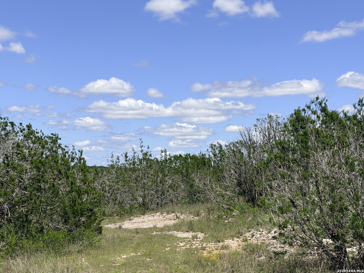 4807 County Road 429 Uvalde TX 78801