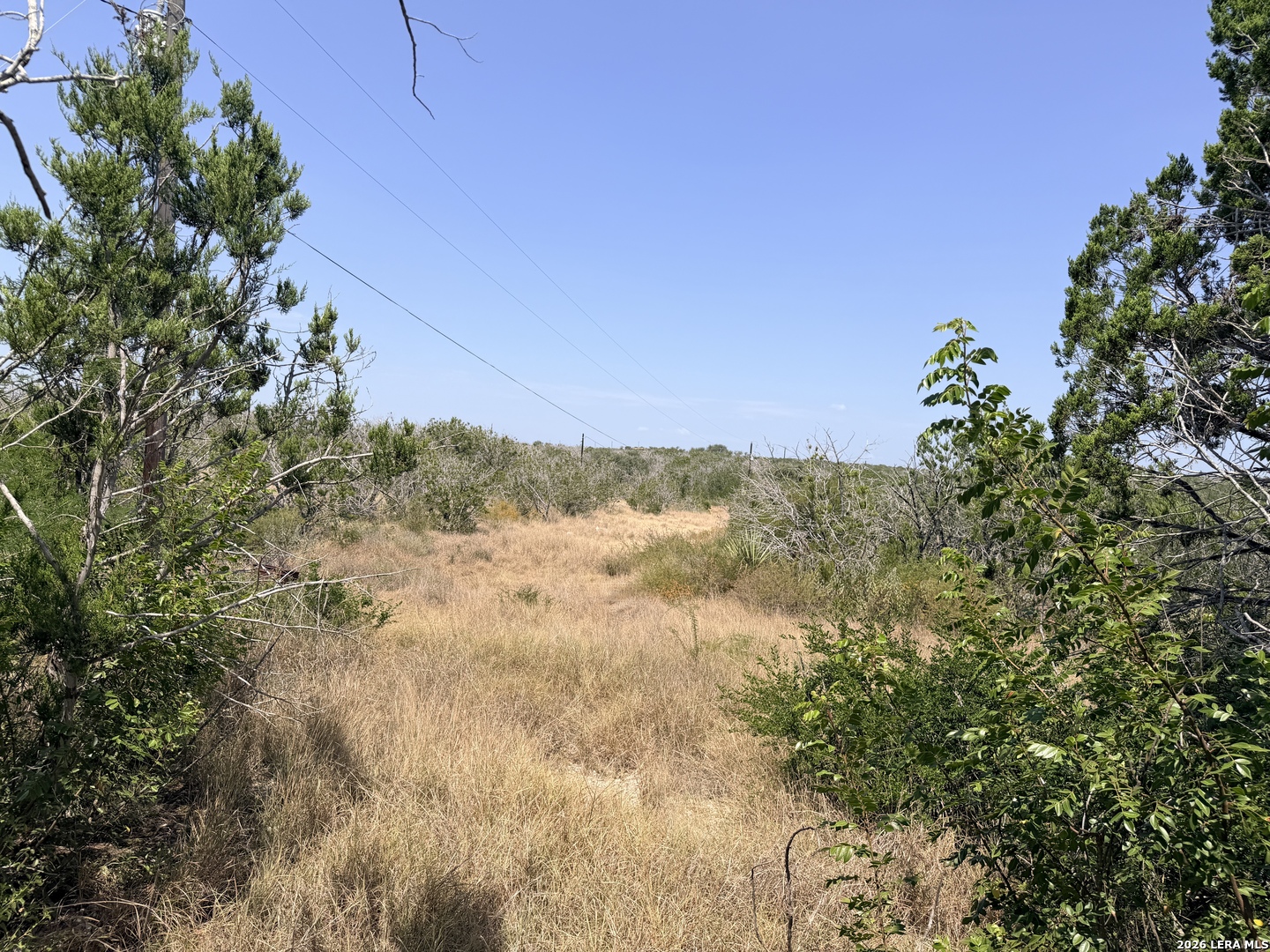 4807 County Road 429 Uvalde TX 78801