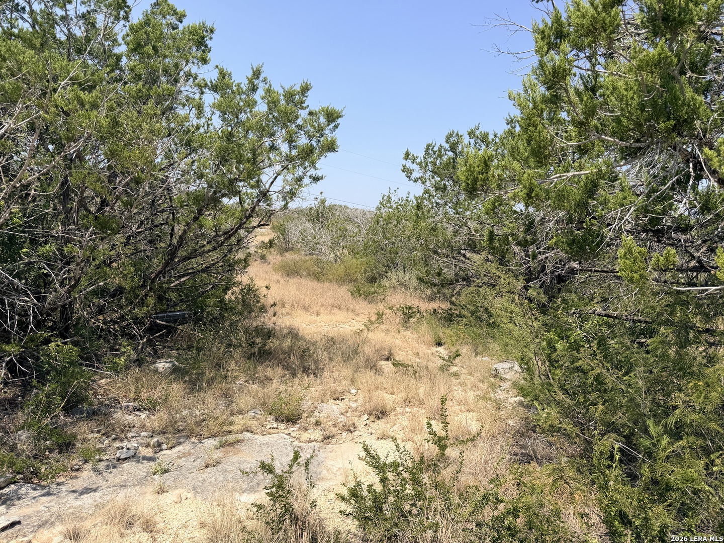 4807 County Road 429 Uvalde TX 78801