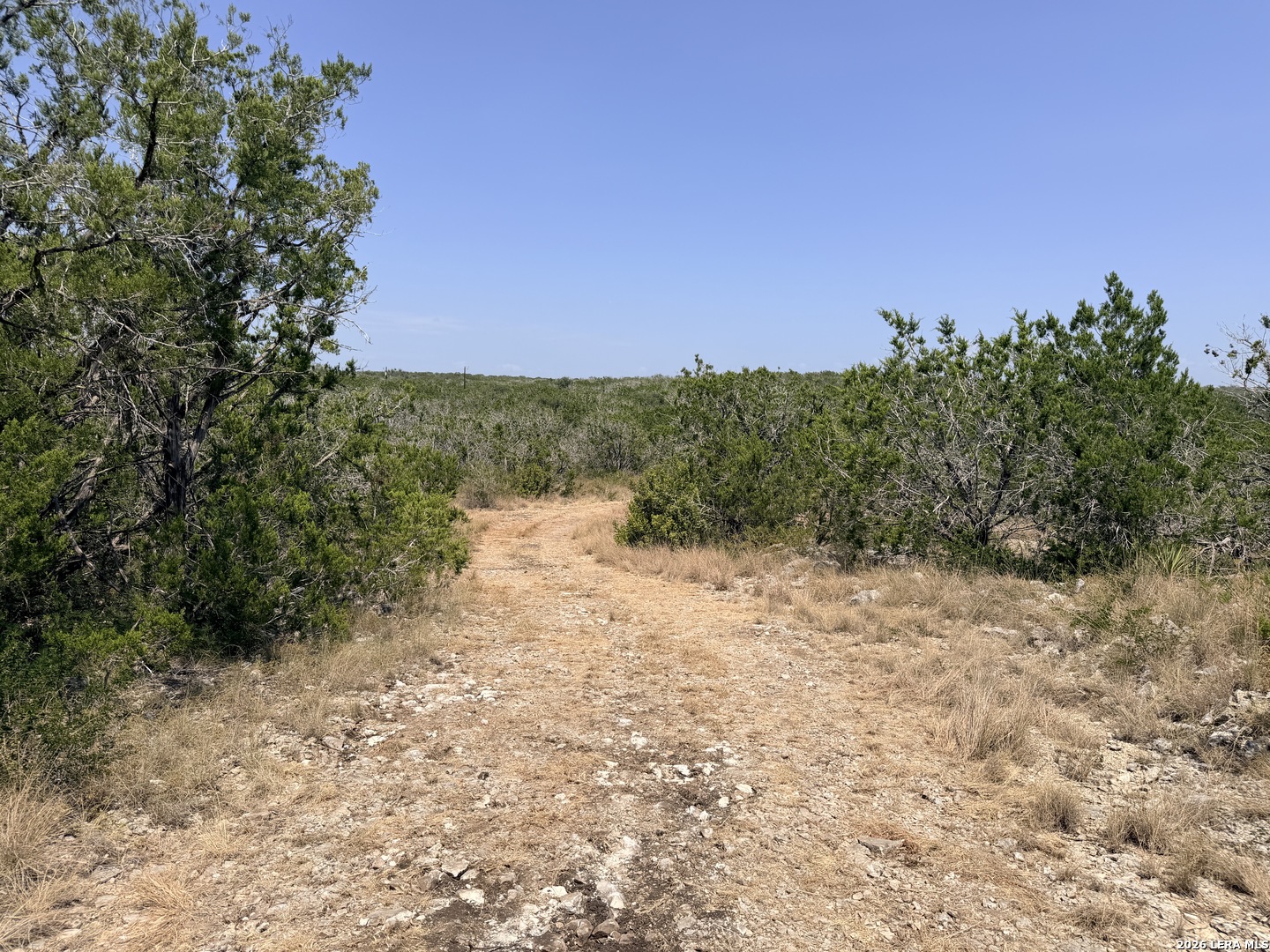 4807 County Road 429 Uvalde TX 78801