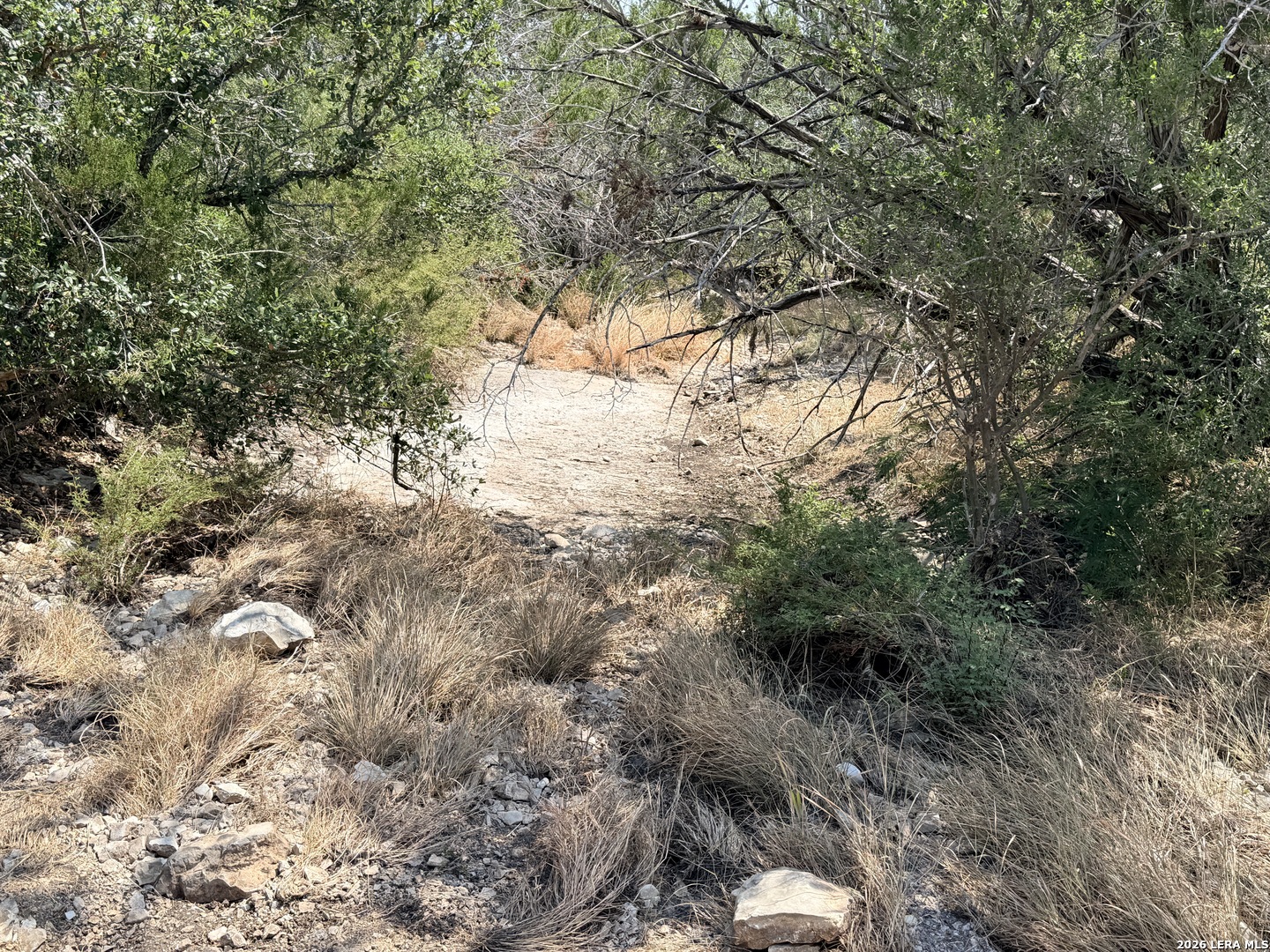 4807 County Road 429 Uvalde TX 78801