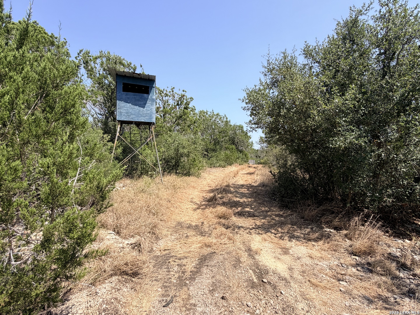 4807 County Road 429 Uvalde TX 78801