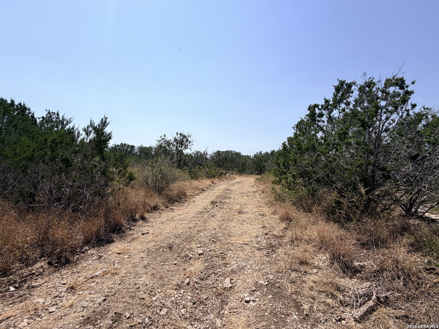 4807 County Road 429 Uvalde TX 78801