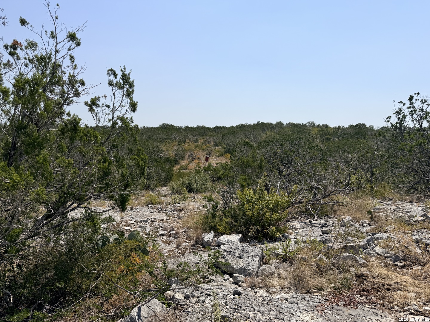4807 County Road 429 Uvalde TX 78801