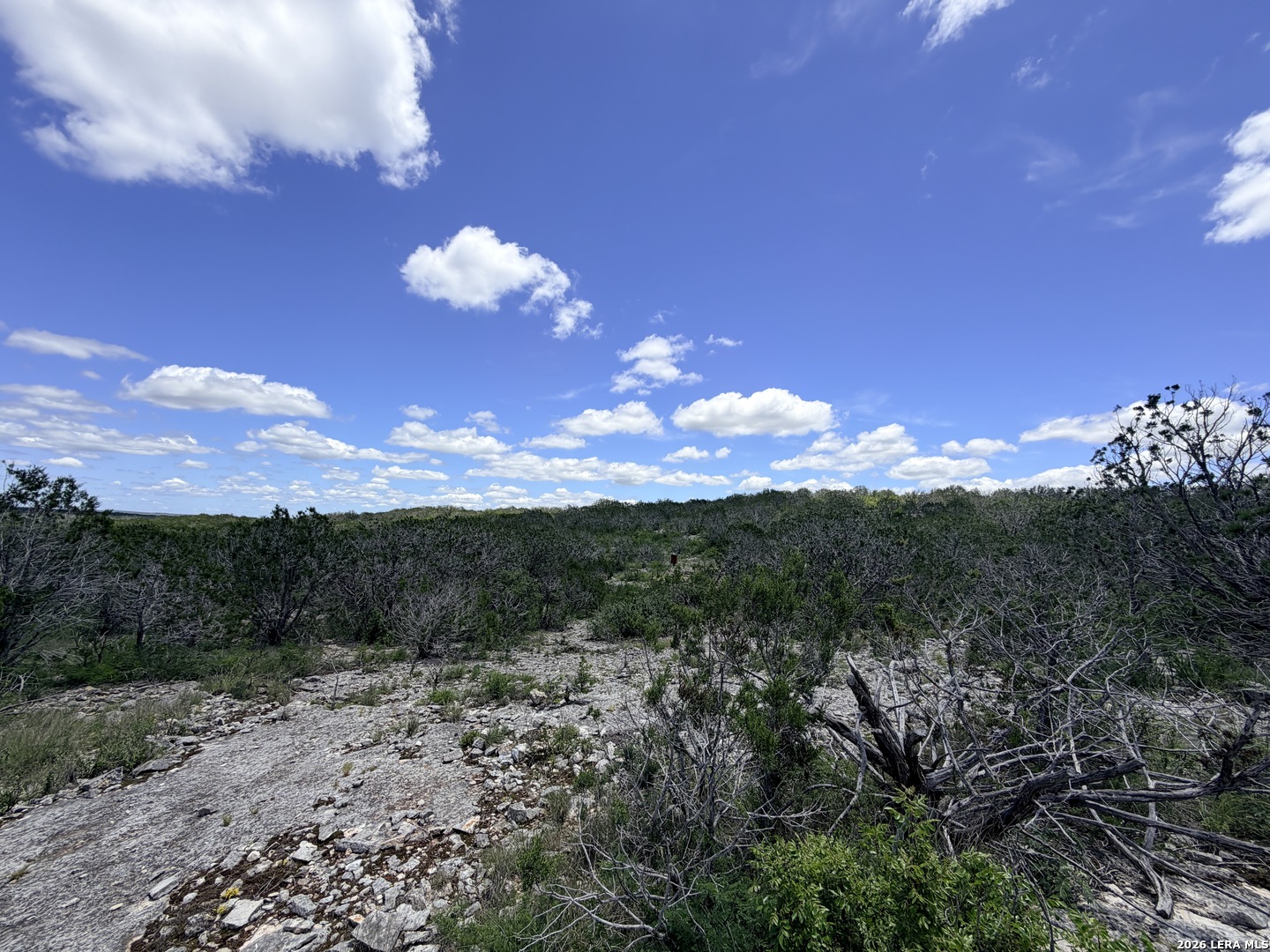 4807 County Road 429 Uvalde TX 78801