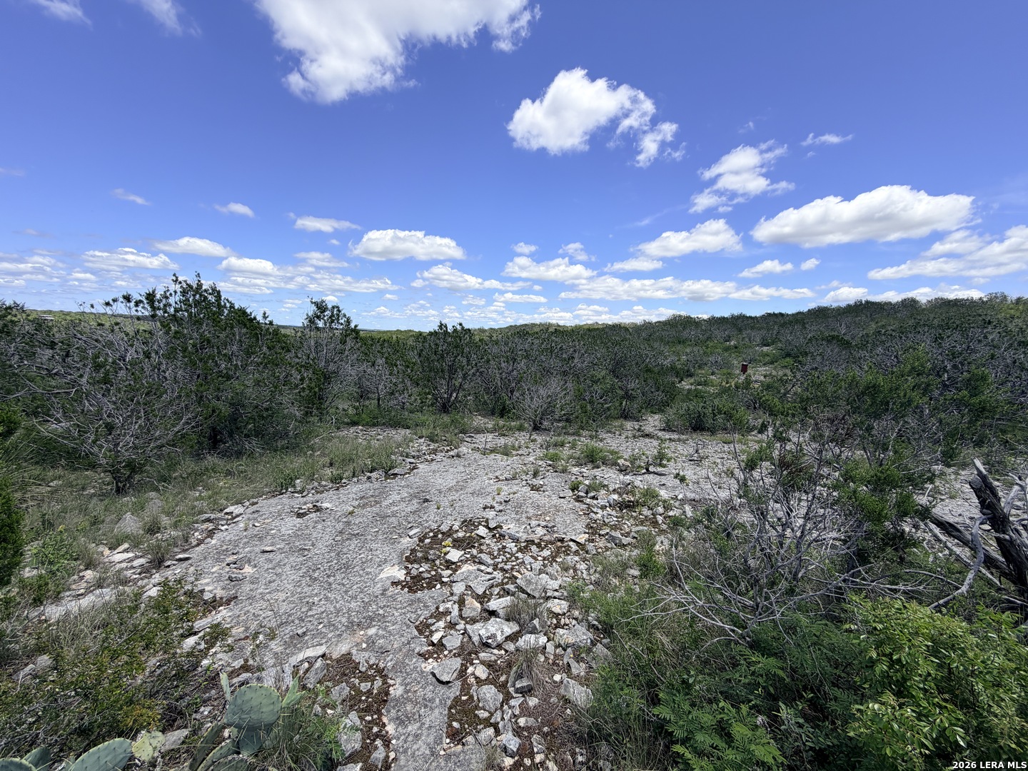 4807 County Road 429 Uvalde TX 78801