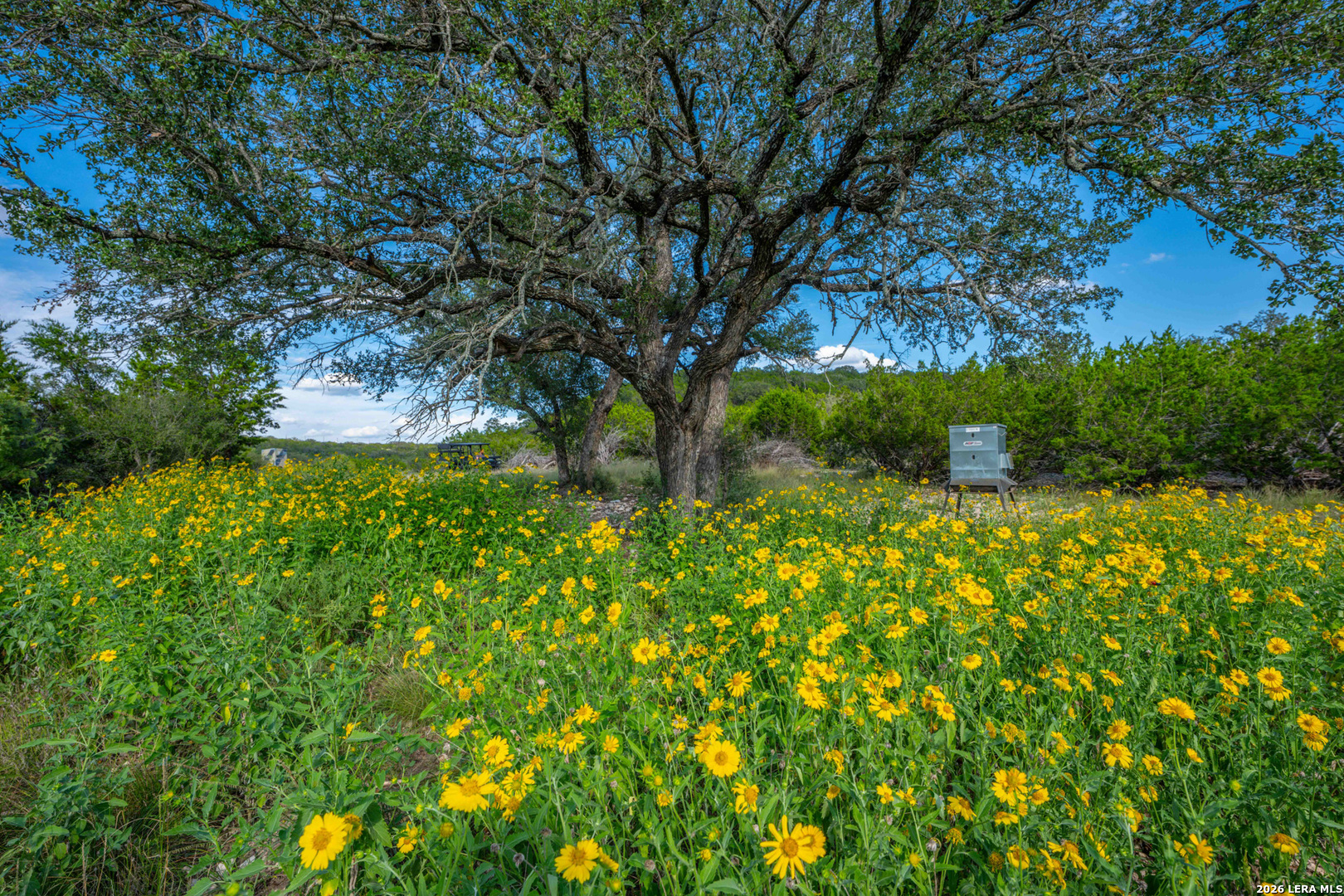 00 Fm 2169 Junction TX 76849
