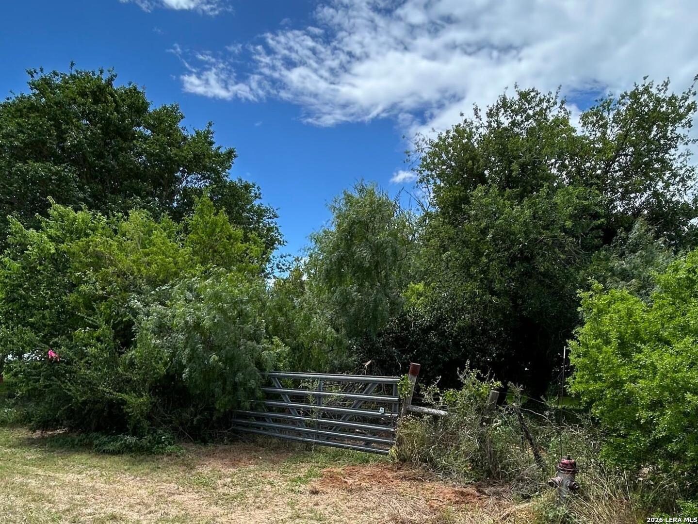 1640 Sandy Elm Road La Vernia TX 78121