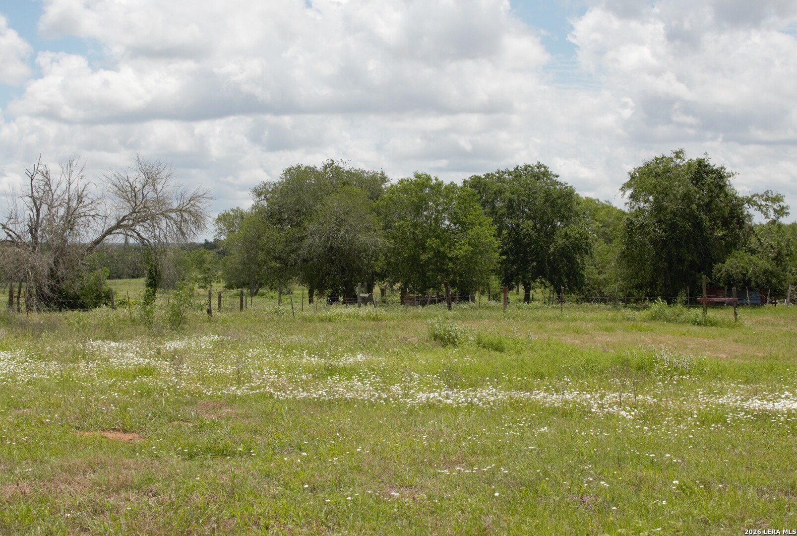 1640 Sandy Elm Road La Vernia TX 78121