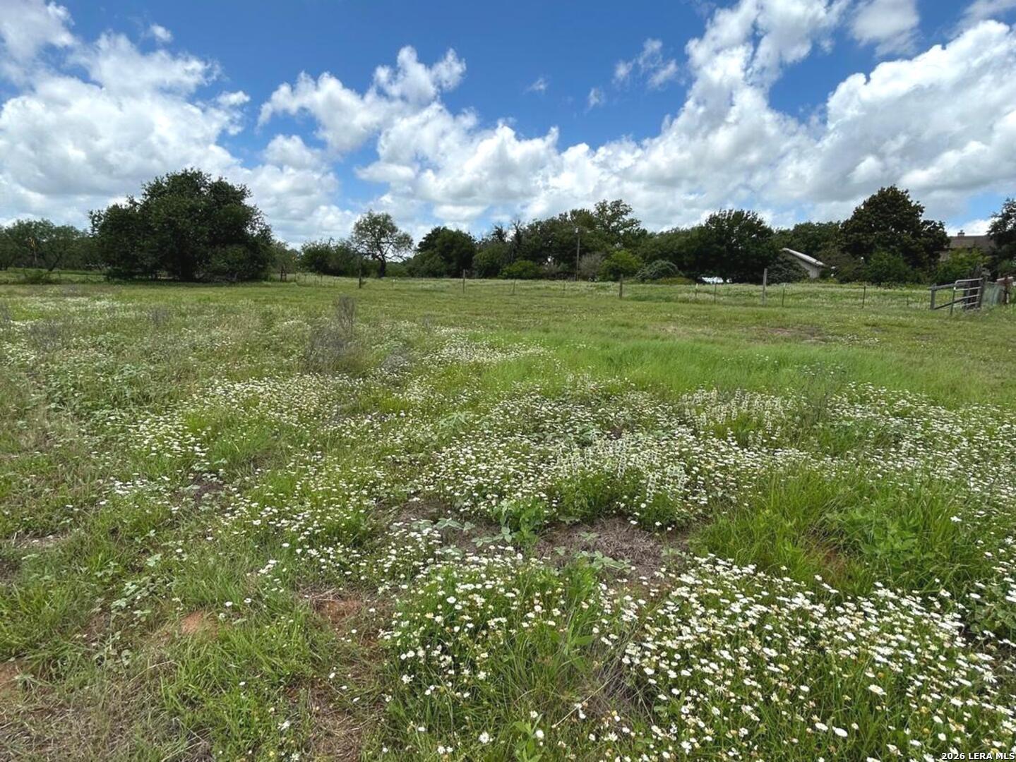 1640 Sandy Elm Road La Vernia TX 78121