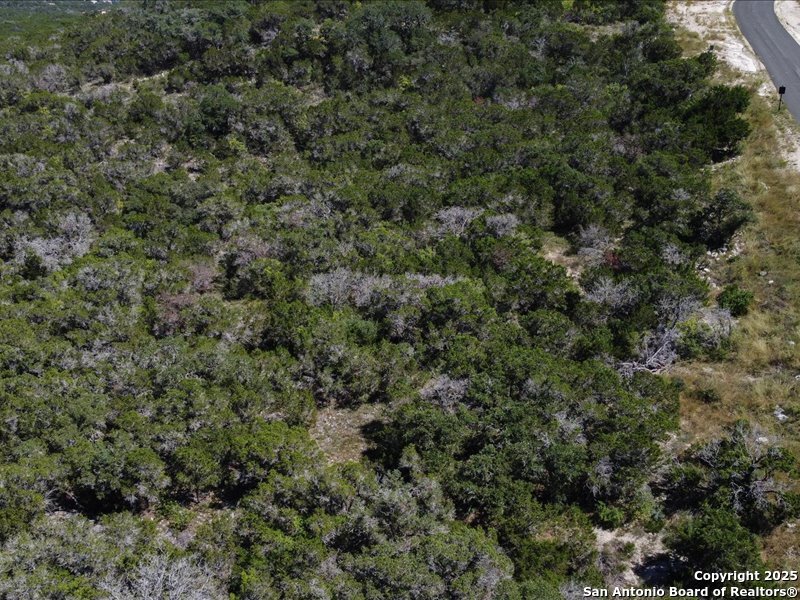 Unit 4 Lot 11 Private Road Mico TX 78056