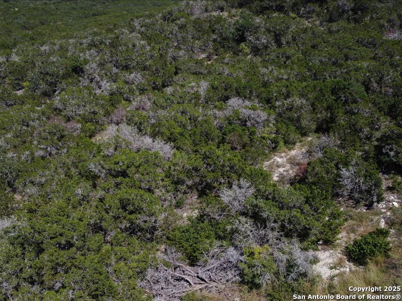 Unit 4 Lot 11 Private Road Mico TX 78056
