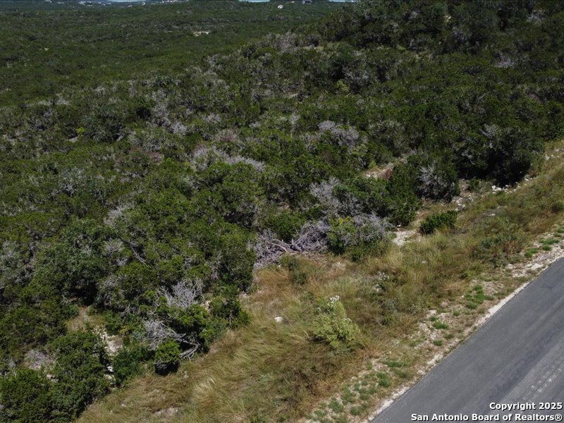 Unit 4 Lot 11 Private Road Mico TX 78056