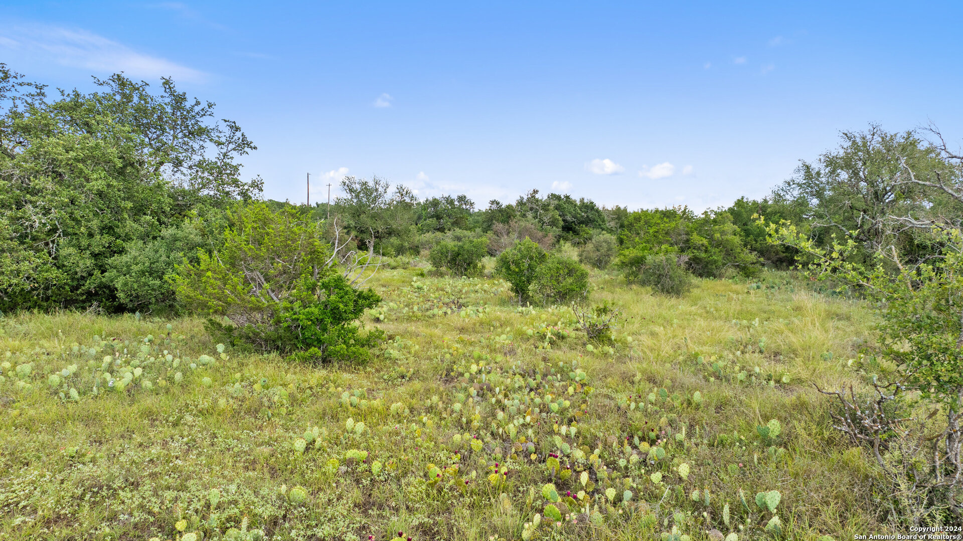 Tbd W Rr 962 Round Mountain TX 78663