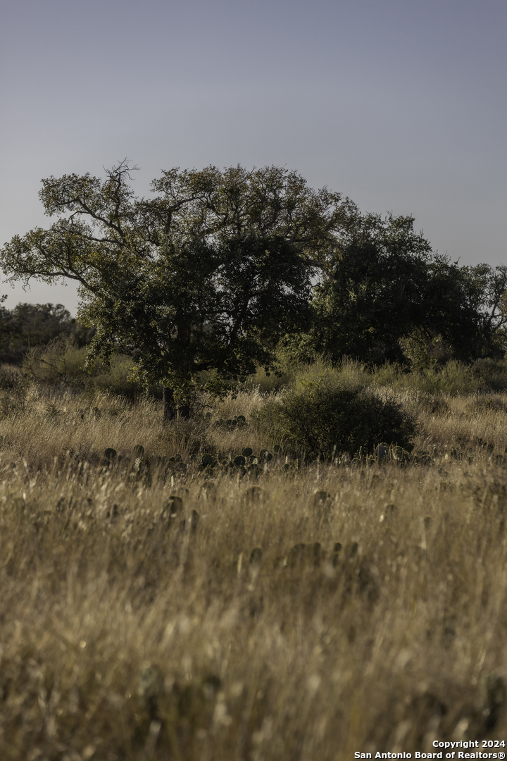 Tbd W Rr 962 Round Mountain TX 78663