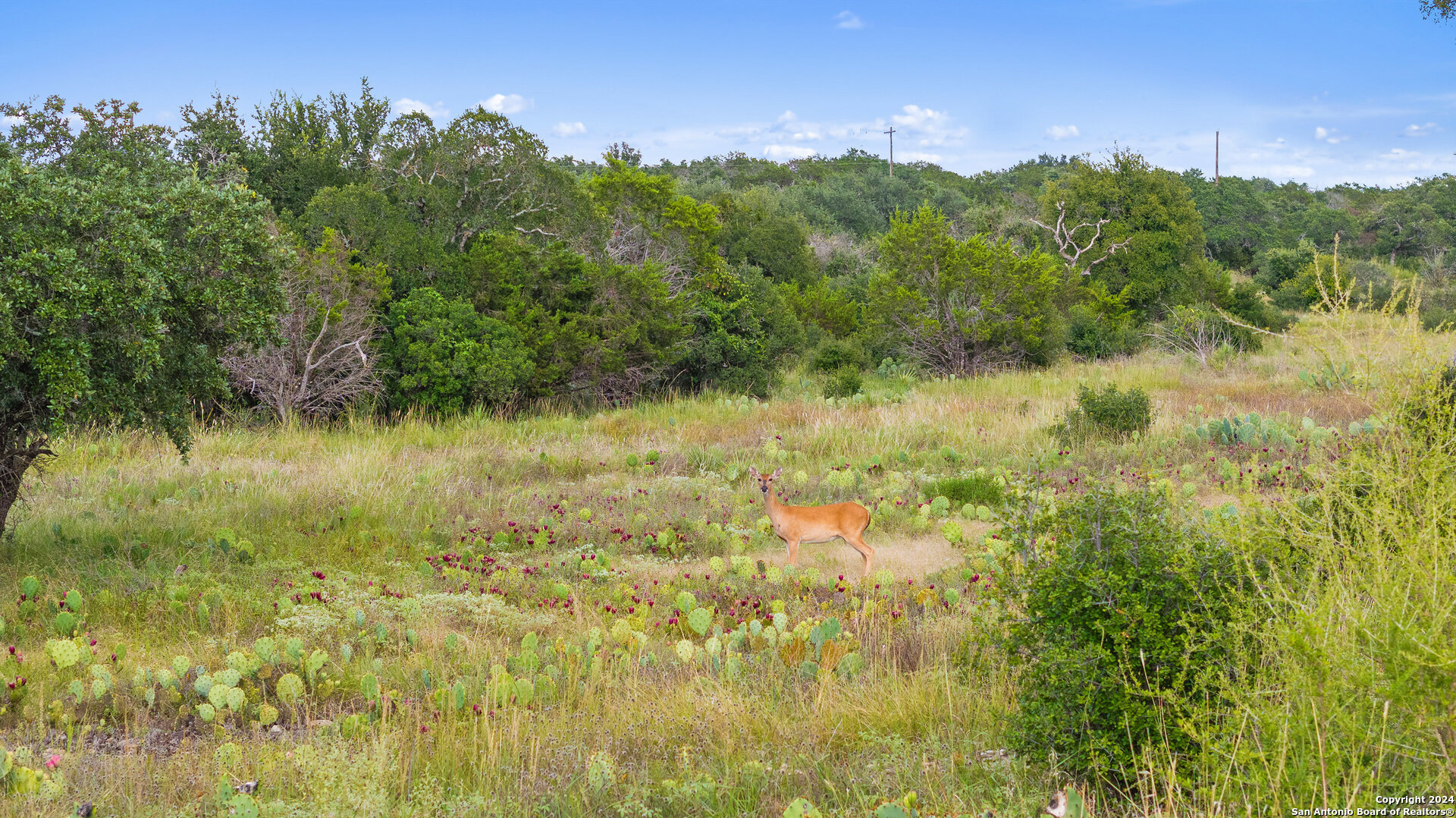 Tbd W Rr 962 Round Mountain TX 78663