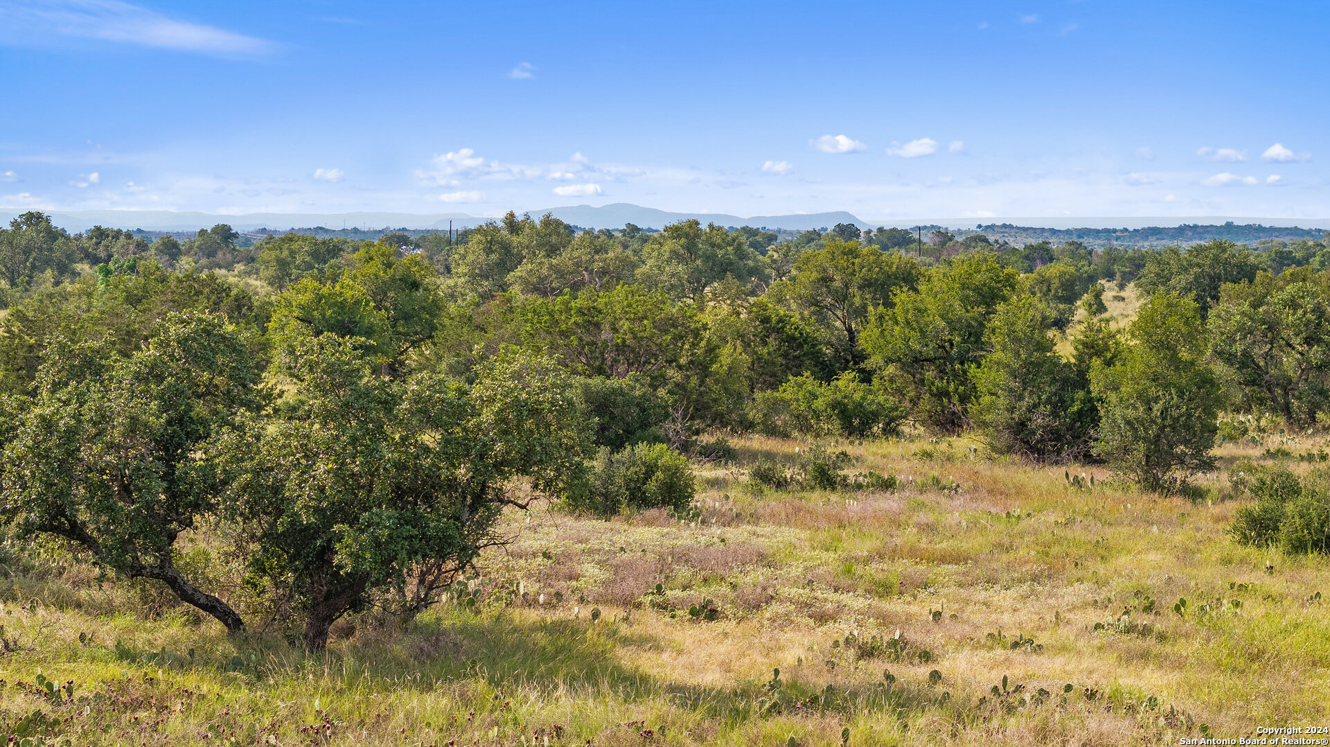 Tbd W Rr 962 Round Mountain TX 78663